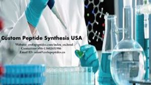 Custom Peptide Synthesis USA