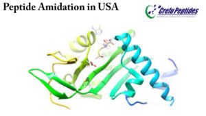 Peptide Amidation in USA