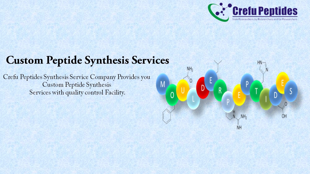 The Complete Guide On Understanding Peptide Synthesis