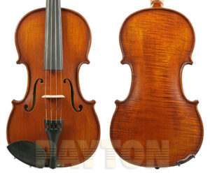 Gliga Violin Outfit