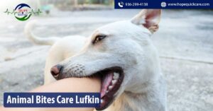 Animal Bites Care Lufkin