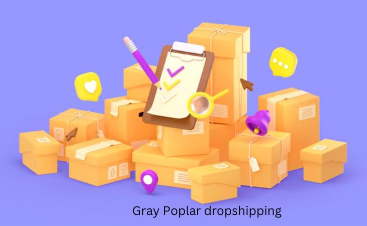 Gray Poplar dropshipping